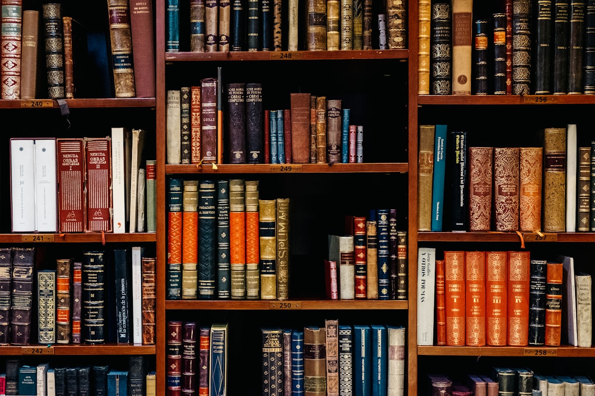 Fantasy bookshelf